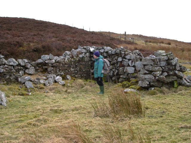 photo: IMGP1083
